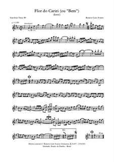 Flor do Cariri (ou 'Bem'): Flor do Cariri (ou 'Bem') by Roniere Leite Soares