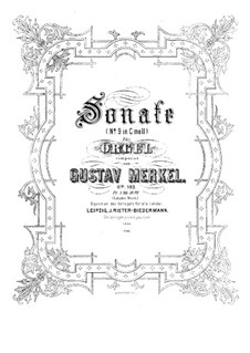 Sonate für Orgel Nr.9 in c-Moll, Op.183: Sonate für Orgel Nr.9 in c-Moll by Gustav Adolf Merkel