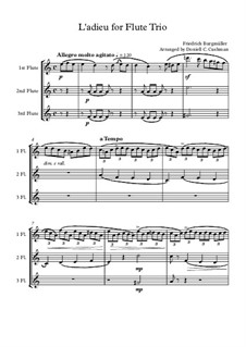 Nr.12 Abschied: For flute trio by Johann Friedrich Burgmüller