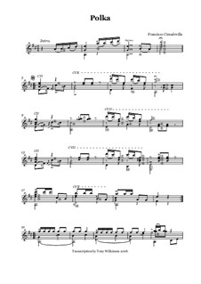 Polka - Guitar Solo: Polka - Guitar Solo by Francisco Cimadevilla