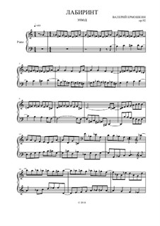 Лабиринт, Op.92: Лабиринт by Valery Ermoshkin