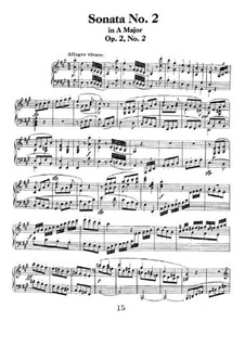 Sonate Nr.2: Für einen Interpreten by Ludwig van Beethoven
