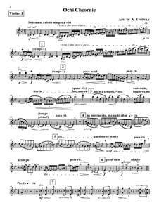 Dark Eyes (Ochi Cheornie): For string orchestra – violins I part by Florian Hermann
