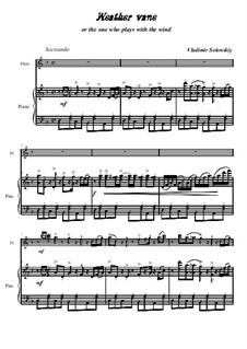 Weather vane: Für Flöte und Piano by Vladimir Solonskiy
