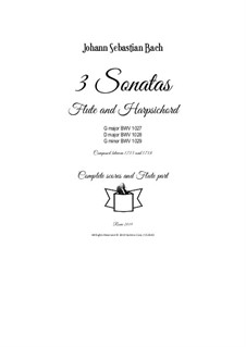 Drei Sonaten für Viola da gamba und Cembalo, BWV 1027-1029: Arrangement for flute and harpsichord (or piano) by Johann Sebastian Bach