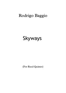 Skyways: Skyways by Rodrigo Baggio