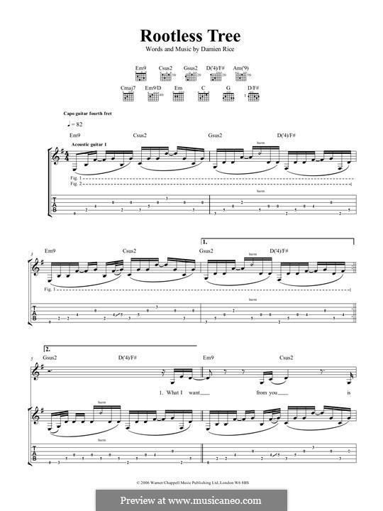 Rootless Tree: Für Gitarre mit Tabulatur by Damien Rice