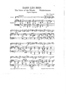 Waldstimmen nach Paganini für Violine und Klavier: Waldstimmen nach Paganini für Violine und Klavier by Max Vogrich