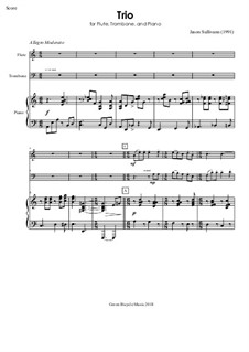 Trio for Flute, Trombone & Piano: Trio for Flute, Trombone & Piano by Jason Sullivann