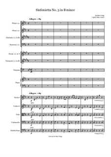 Sinfonietta No.5 in B minor: Sinfonietta No.5 in B minor by Jordan Grigg