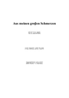 Zwölf Gesänge, Op.5: No.1 Aus meinen grossen Schmerzen (E Major) by Robert Franz