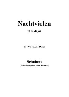 Nachtviolen, D.752: B Major by Franz Schubert