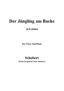 Der Jüngling am Bache, D.638 Op.87 No.3: For voice and piano (b minor) by Franz Schubert