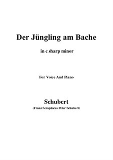 Der Jüngling am Bache, D.638 Op.87 No.3: For voice and piano (c sharp minor) by Franz Schubert