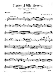 Cluster of Wild Flowers, Op.94: Solostimme by Adolf Terschak