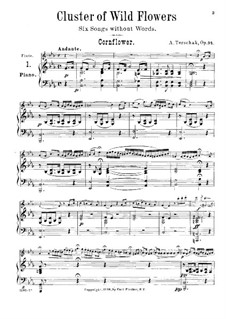 Cluster of Wild Flowers, Op.94: Partitur by Adolf Terschak