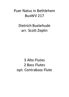 Puer natus in Bethlehem, BuxWV 217: For flute quintet by Dietrich Buxtehude