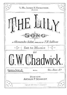 The Lily: The Lily by George Whitefield Chadwick