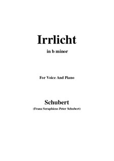 Nr.9 Irrlicht: For voice and piano (b minor) by Franz Schubert