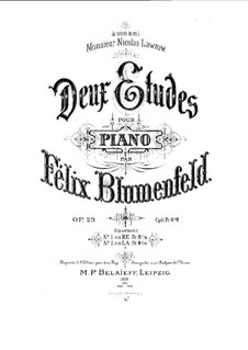 Zwei Etüden, Op.29: Vollsammlung by Felix Blumenfeld