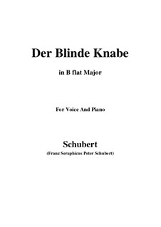 Der blinde Knabe, D.833 Op.101 No.2 von F. Schubert - Noten auf MusicaNeo