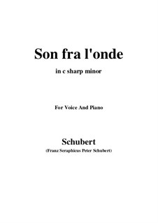 Son fra l'onde: C sharp minor by Franz Schubert