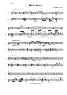 Beetle's Wings: For cor anglais and guitar by David W Solomons