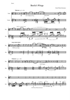 Beetle's Wings: For viola and guitar by David W Solomons