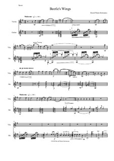 Beetle's Wings: For violin and guitar by David W Solomons