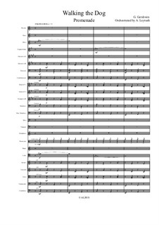 Walking the Dog for Cello and Orchestra: Walking the Dog for Cello and Orchestra by George Gershwin