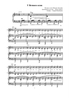 У Вечного огня: У Вечного огня by Mikhail Likhachov