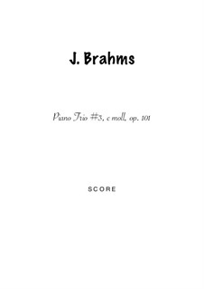 Klaviertrio Nr.3 in c-Moll, Op.101: Version for flute, bassoon and piano by Johannes Brahms