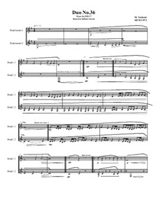 Duos for 2 Bass clarinet, Volume 2: Duo No.36, MVWV 973 by Maurice Verheul