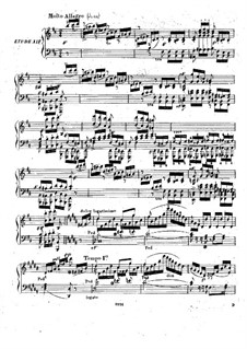 Fünfundzwanzig grosse Etüden, Op.143: Nr.14-25 by Friedrich Kalkbrenner
