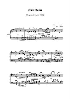 Chrysanthemums (I Crisantemi): Für Klavier Solo by Giacomo Puccini