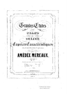Grandes études pour piano en soixante caprices caractéristiques, Op.63: Etüden Nr.13-36 by Amédée Méreaux