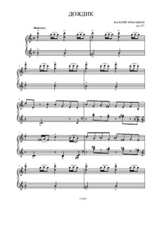 Дождик, Op.127: Дождик by Valery Ermoshkin