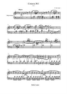 Sonate Nr.1: Teil I by Ludwig van Beethoven