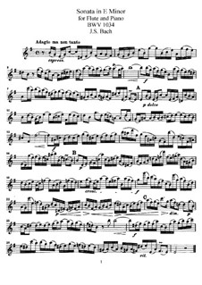 Sonate für Flöte und Basso Continuo Nr.2 in e-Moll, BWV 1034: Solostimme by Johann Sebastian Bach