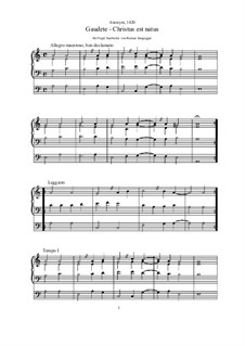 Gaudete - Christus est natus (Orgel-Bearbeitung): Gaudete - Christus est natus (Orgel-Bearbeitung) by Unknown (works before 1850)