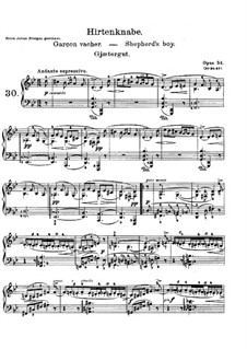Lyrische Stücke, Op.57: Vollsammlung by Edvard Grieg