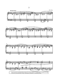 Piano Collection für Entertainer: Album 'Lieder ohne Worte'. Bostonwalzer by Peter Epp