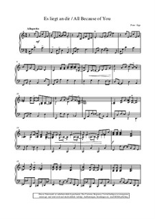 Piano Collection für Entertainer: Es liegt an dir by Peter Epp