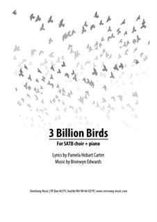 3 Billion Birds: 3 Billion Birds by Bronwyn Edwards