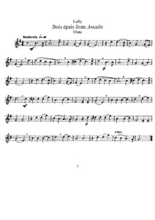 Amadis oder Amadis von Gallien, LWV 63: Bois épais. Version for flute and piano – solo part by Jean-Baptiste Lully