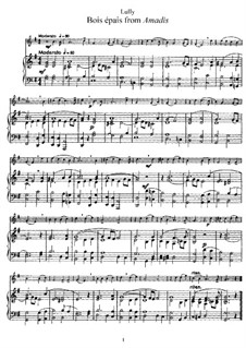 Amadis oder Amadis von Gallien, LWV 63: Bois épais. Version for flute and piano by Jean-Baptiste Lully