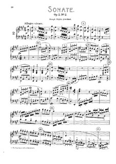 Sonate Nr.2: Für einen Interpreten by Ludwig van Beethoven
