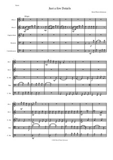 Just a Few Details: For double-reed quintet (2 oboes, cor anglais, bassoon, contrabassoon) by David W Solomons
