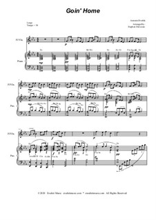 Teil II (Largo): For flute or violin solo and piano by Antonín Dvořák