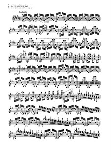 Vierundzwanzig Capricen, Op.1: Vollsammlung by Niccolò Paganini